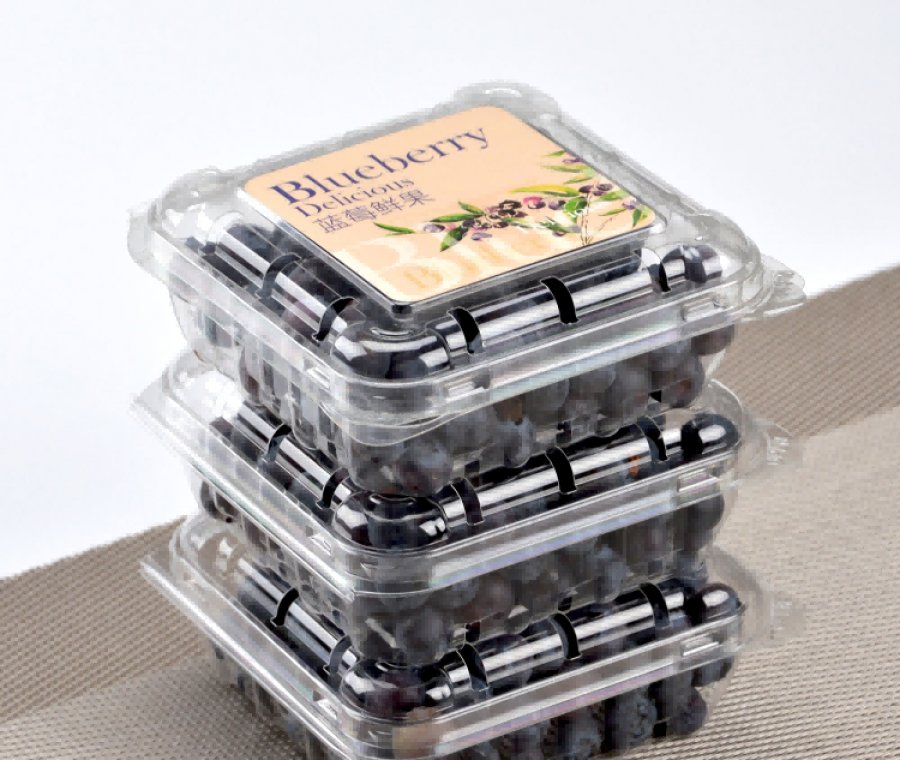 Disposable Clear 125g Blueberry Packaging Boxes Clamshell Blister Fruit Food Container Blueberry Container