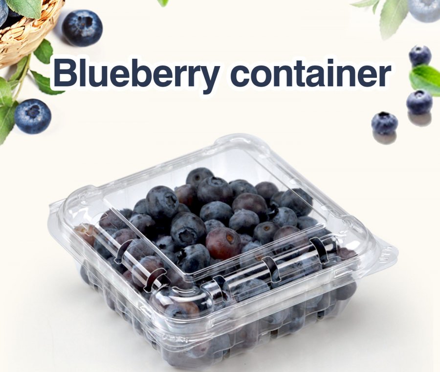 Disposable Clear 125g Blueberry Packaging Boxes Clamshell Blister Fruit ...