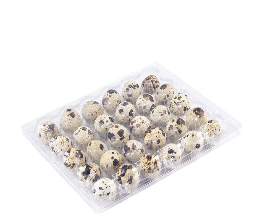 Custom Wholesale Recyclable Quail Eggs Container Tray Egg Shape Packaging Box PET Eggs Trays